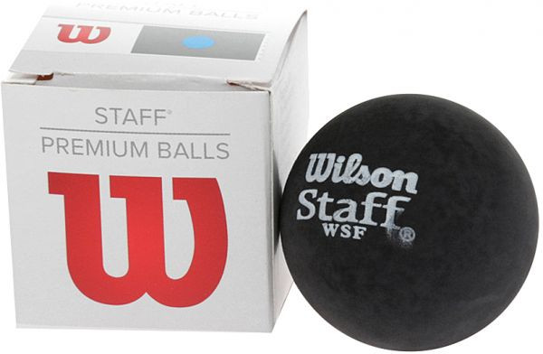 Skvošo kamuoliukai Wilson Staff Blue Dot