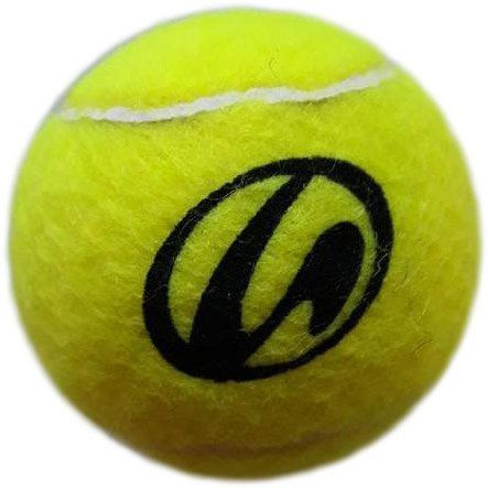 Μπαλάκια τένις Tretorn COACH (GO) 60B - bag