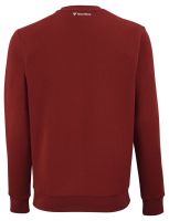 Muška sportski pulover Tecnifibre Team Sweater - cardinal Muška sportski pulover Tecnifibre Team Sweater - cardinal