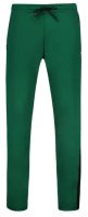 Pantalons de tennis pour hommes Le Coq TECH Pant Tapered N°1 SS23 - vert foncé camuset
