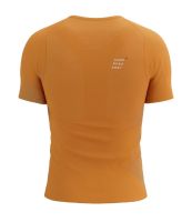 Teniso marškinėliai vyrams Compressport Performance SS Tshirt - autumn glory/hawaiian ocean Teniso marškinėliai vyrams Compressport Performance SS Tshirt - autumn glory/hawaiian ocean