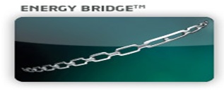 energy bridge prince