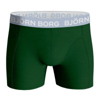 Bokserice Björn Borg Core Boxer B 2P - green/print Bokserice Björn Borg Core Boxer B 2P - green/print