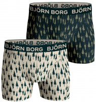 Calzoncillos deportivos Björn Borg Core Boxer 2P - print