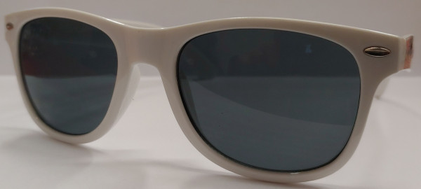 Tenisové brýle Tecnifibre Lunettes - white