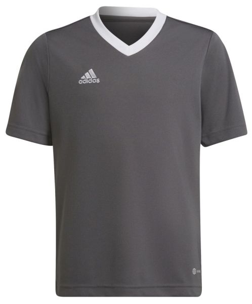 T-krekls zēniem Adidas Kids Entrada 22 Jersey - Pelēks