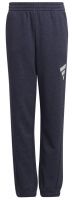 Spodnie chłopięce Adidas Future Icons 3Stripes Pant - shadow navy/dash grey