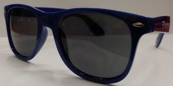 Tenisové brýle Tecnifibre Lunettes - blue