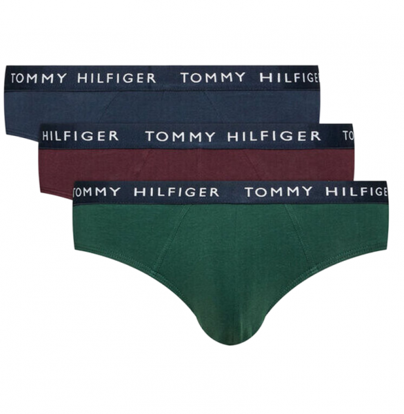 Boxeri sport bărbați Tommy Hilfiger Brief 3P - des sky/hunter/deep burg