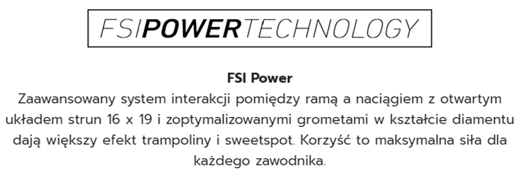 FSI Power