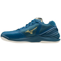 Muške cipele za squash Mizuno Wave Stealth Neo - hydro/legion blue Muške cipele za squash Mizuno Wave Stealth Neo - hydro/legion blue