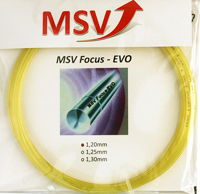  MSV Focus Evo (12 m) - amber