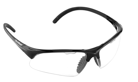  Tecnifibre Protection Glasses - black