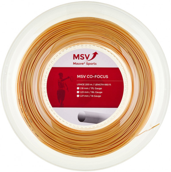  MSV Co. Focus (200 m) - gold
