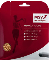 MSV Co. Focus (12 m) - gold