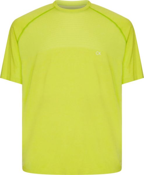 Teniso marškinėliai vyrams Calvin Klein Seamless SS T-shirt - love bird