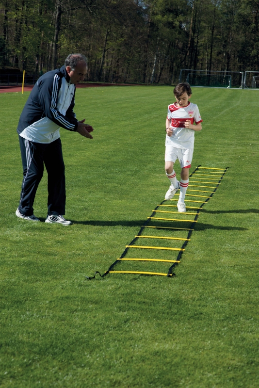 Court Royal Coordination Ladder