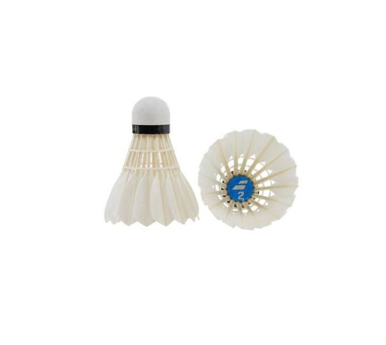 Babolat 2 (12P)