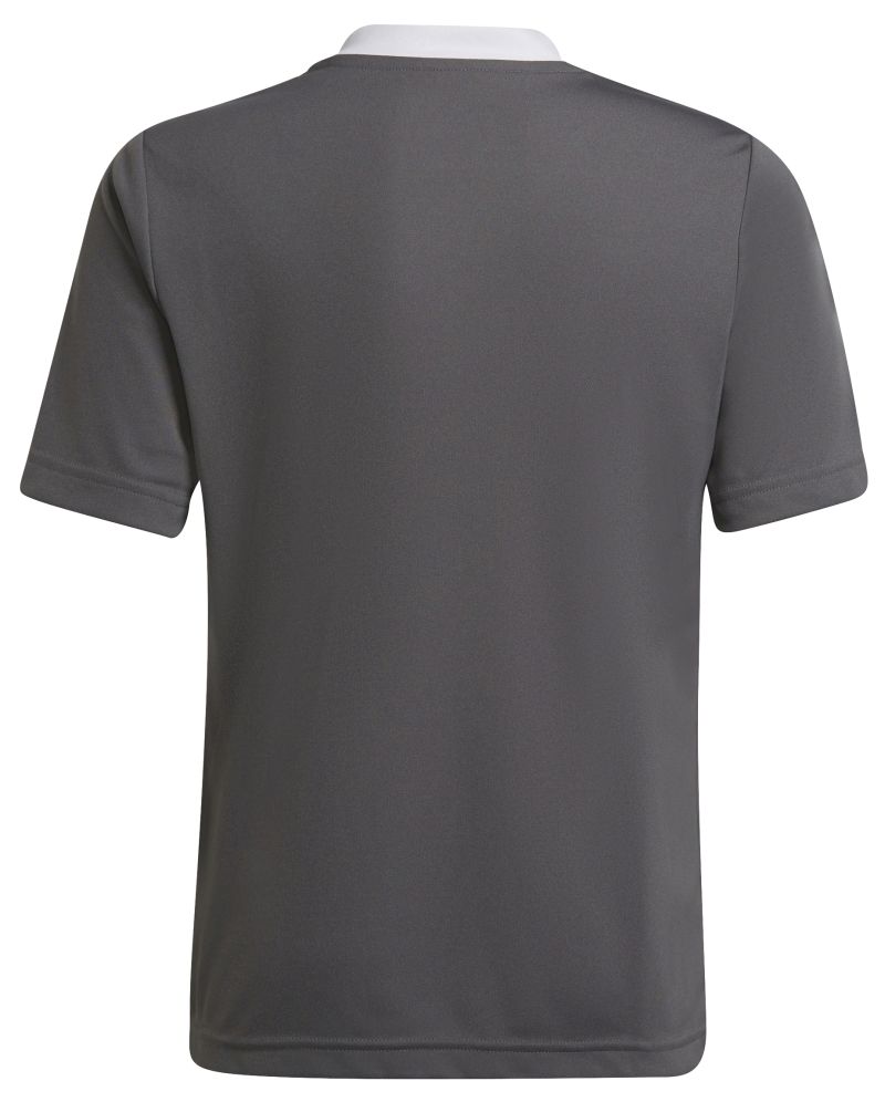 Adidas Kids Entrada 22 Jersey