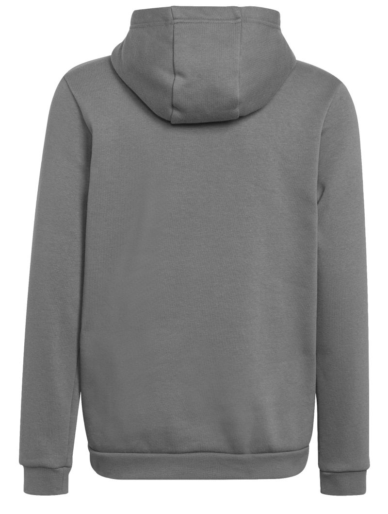 Adidas Entrada 22 Hoody - grey