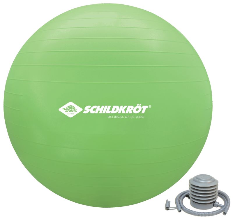 Schildkröt Fitness Gymnastic Ball 65cm