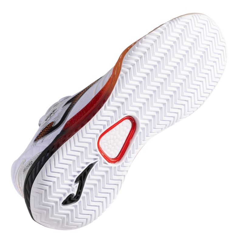 20240626_083946_tpois2532ac_5