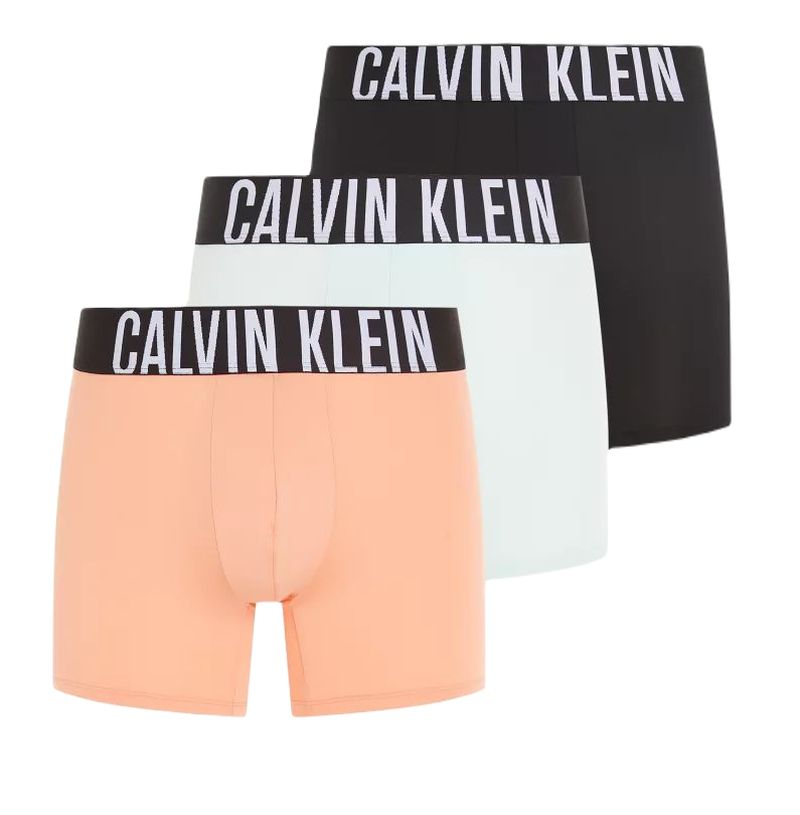 000NB3612A_VVM Calvin Klein Intense Power Boxer Briefs 3P