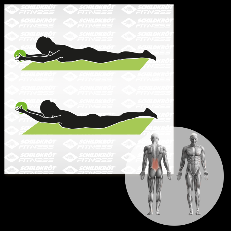 schildkrot-fitness-medicine-ball-1kg-3 Schildkröt Fitness Medicine Ball 1kg