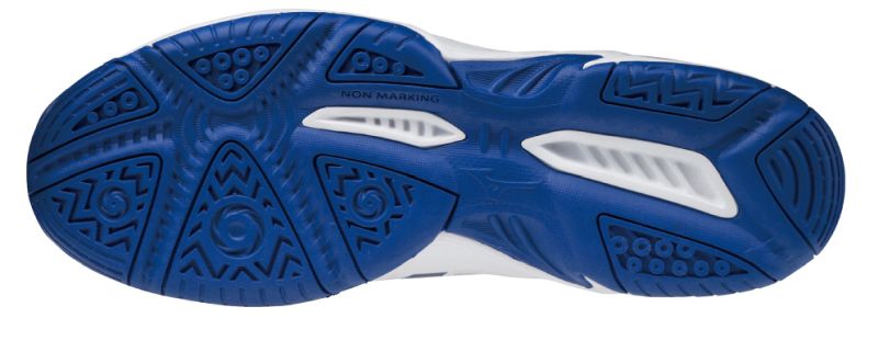 Mizuno Cyclone Speed 2 - white/reflex blue