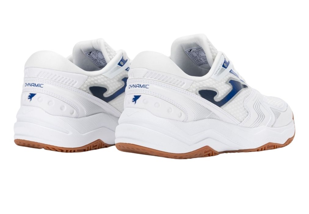 20250213_131434_vdynas2502_3-Photoroom