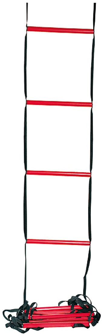 Wilson Training Ladder