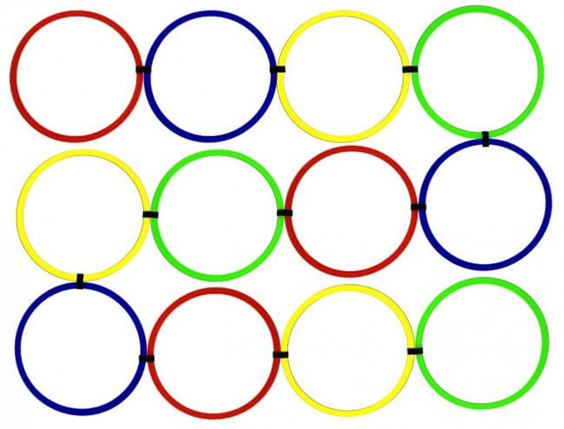 Pro's Pro Speed Ring Ladder 12 pcs - multicolor