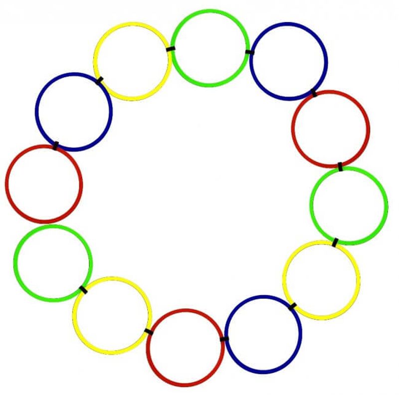 Pro's Pro Speed Ring Ladder 12 pcs - multicolor
