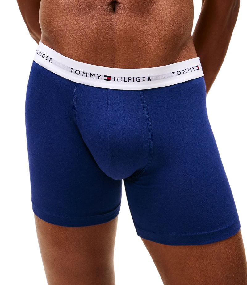 Tommy Hilfiger Brief 3P - ornamental green/purple navy/vessel blue Tommy Hilfiger Brief 3P - ornamental green/purple navy/vessel blue