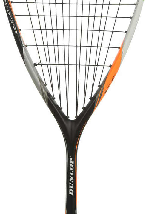 Dunlop Biomimetic Revelation 135