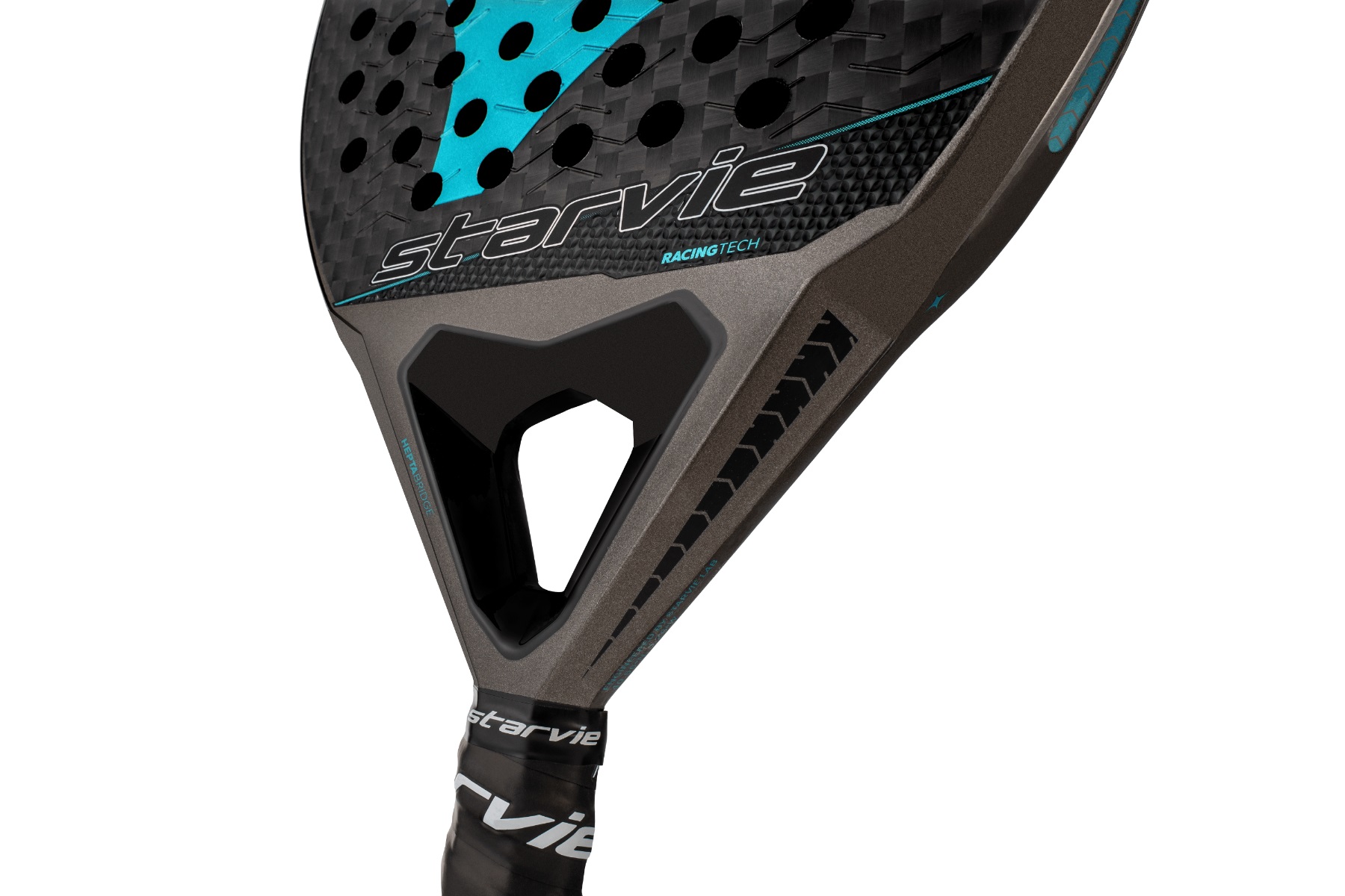 pala_de_p_del_drax_starvie-pt02