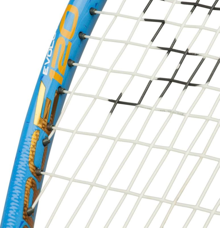  Dunlop Force Evolution 120
