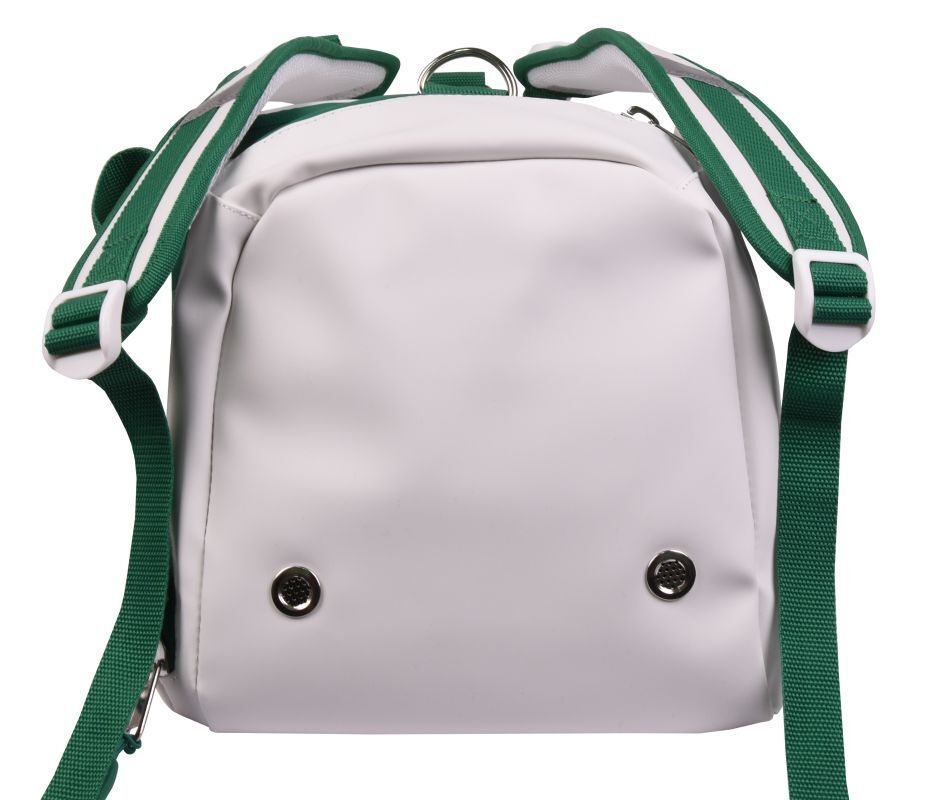 SA250MCA-BAG002-4