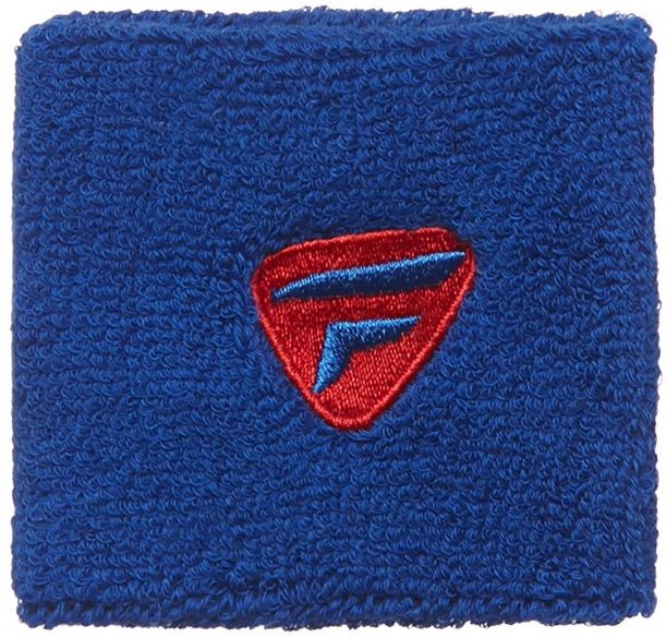 Tecnifibre Wristband (2 szt.) - blue