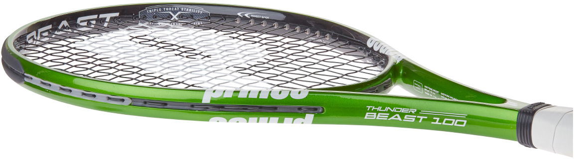 prince-thunder-beast-100-2 Prince Thunder Beast 100