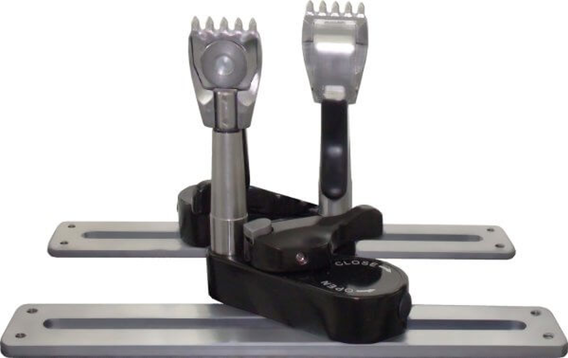 Pro-sProPioneerHornet5