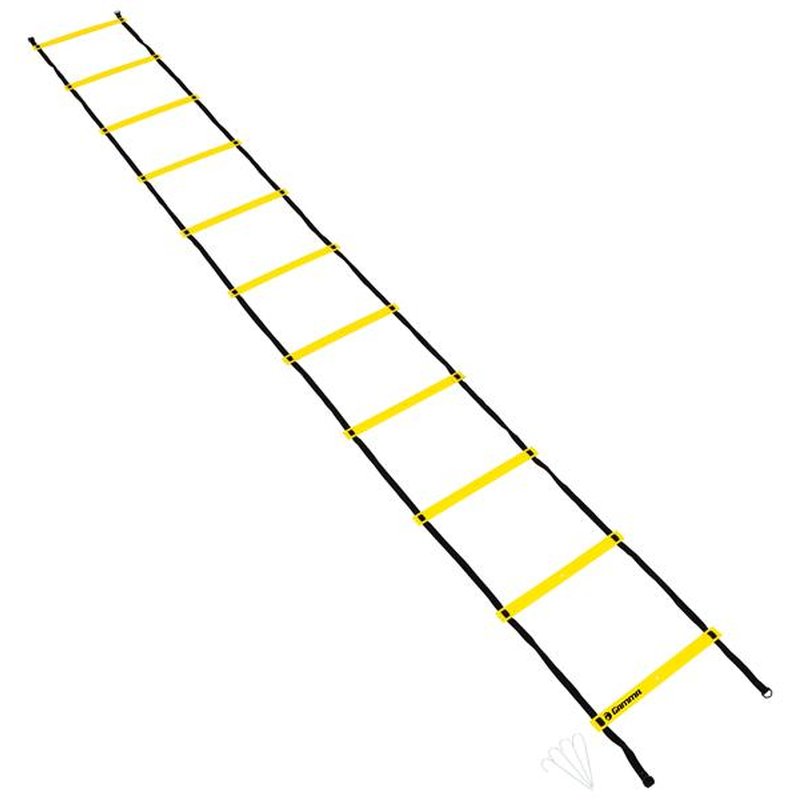 gamma-speed-ladder-1 Gamma Speed Ladder