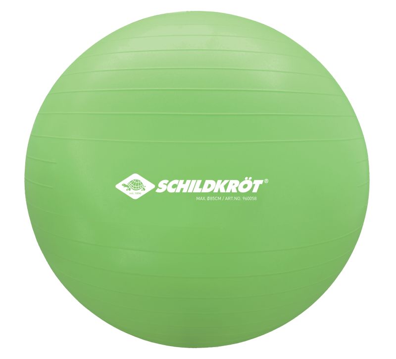 Schildkröt Fitness Gymnastic Ball 65cm