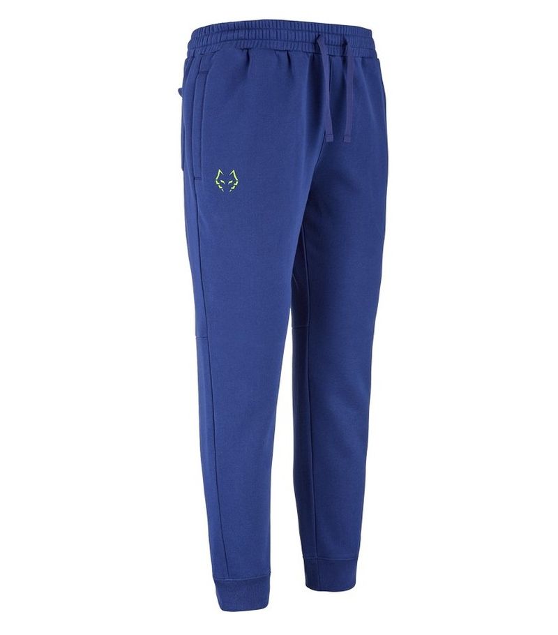 Męskie spodnie Babolat Sweat J. Lebron - blue depths