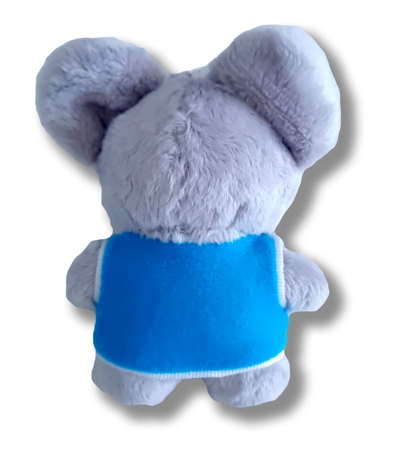 AOPLUSHKEY-secondary