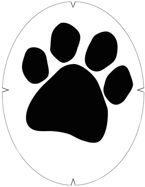  Tourna Paw