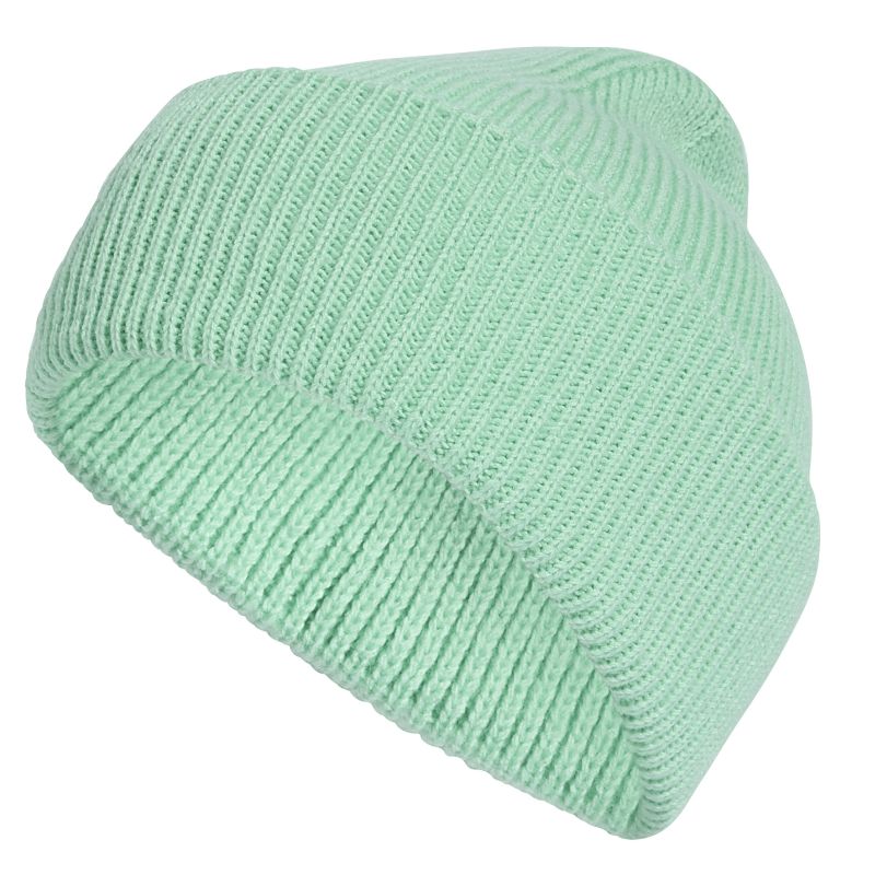 Czapka zimowa Adidas Terrex Multi Beanie - pulse mint
