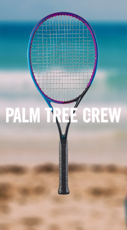 Head Radical Palm Tree