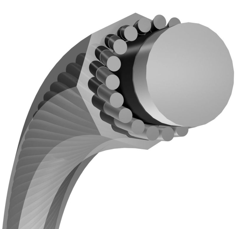 gamma-ocho-tnt-12-m-natural-2 Gamma Ocho TNT (12 m) - natural