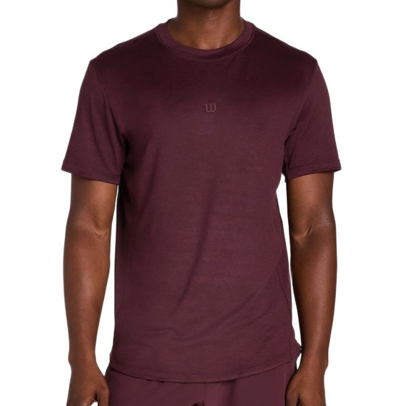 Męski t-shirt Wilson Everyday Performance - fig